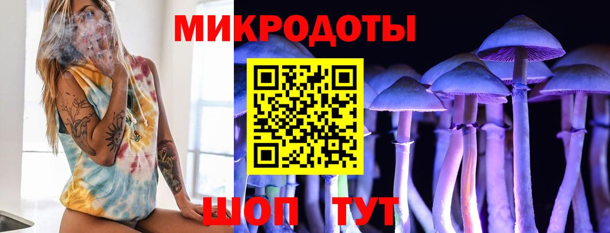 Галлюциногенные грибы мухоморы Биробиджан